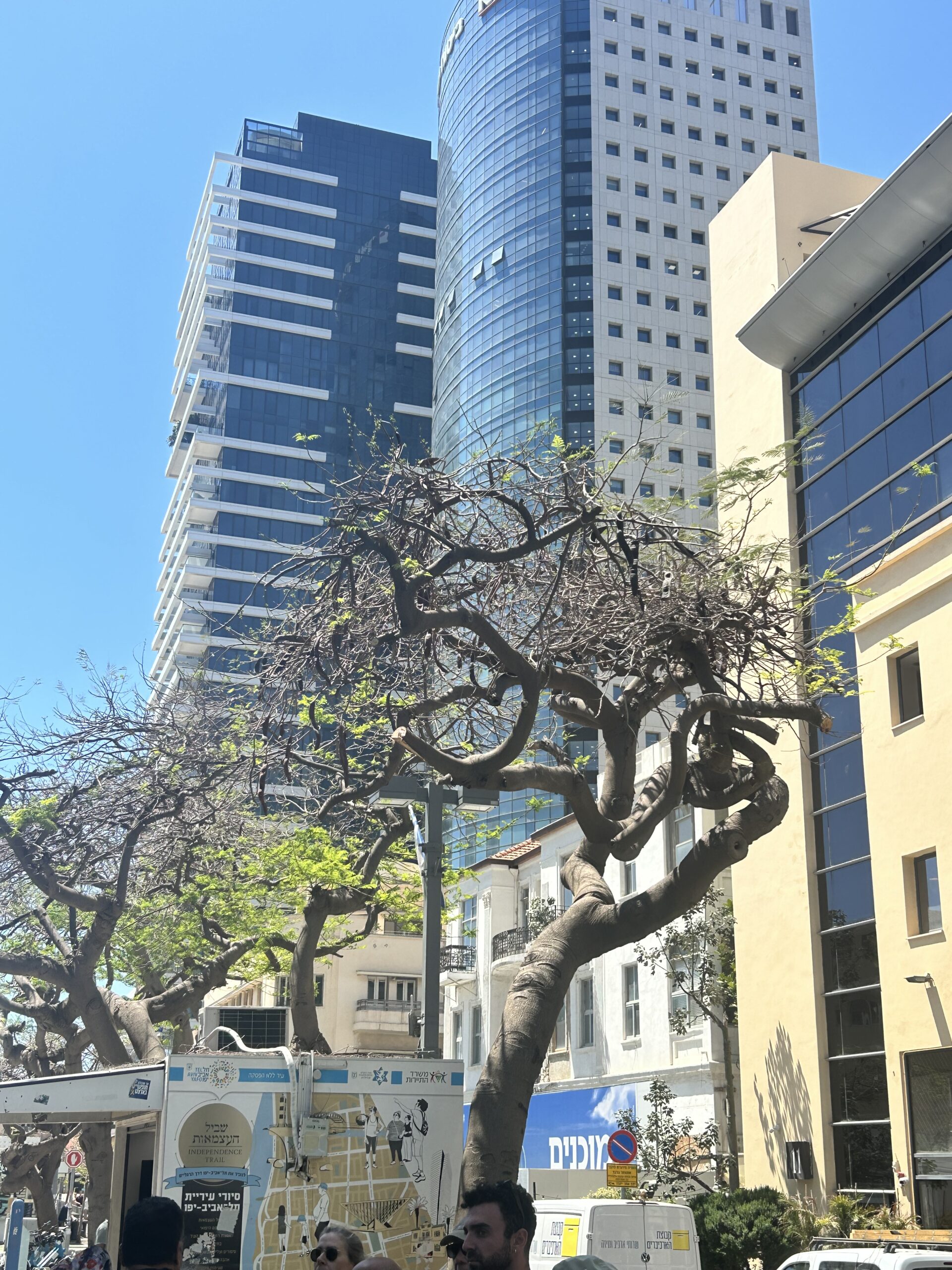 Rothschild Boulevard 